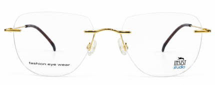 IN - AVIATOR RIMLESS FRAME
