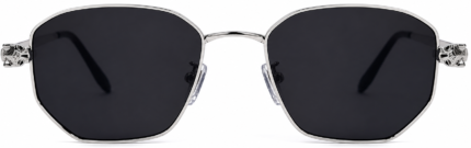 PENTAGON METAL SUNGLASSES