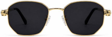 PENTAGON METAL SUNGLASSES